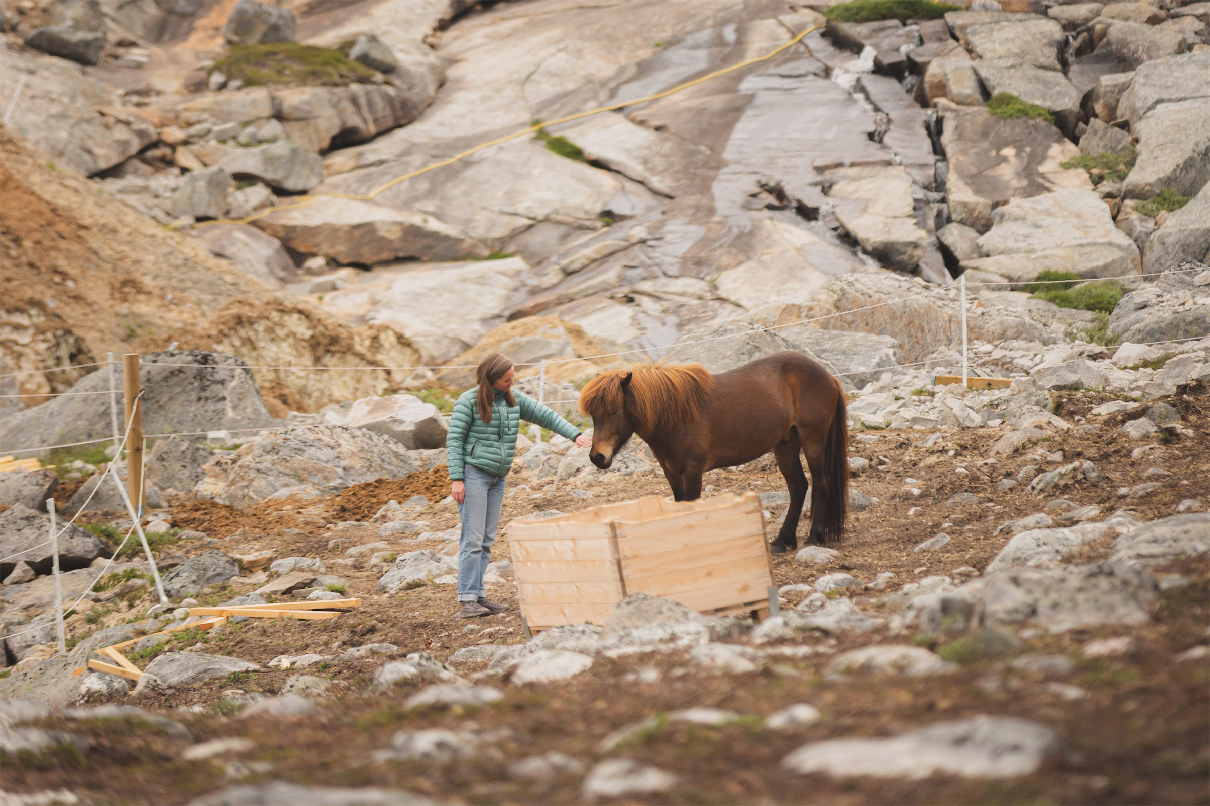 Woman-petting-brown-horse-in-Nuuk. Photo - Magnus Biilmann Trolle, Visit Nuuk